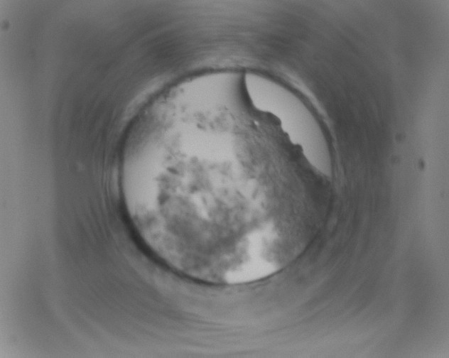 X0000076300019200610271925