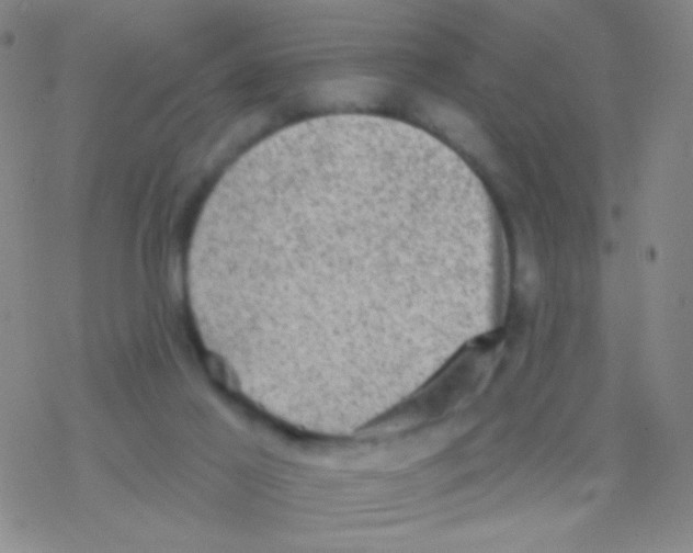 X0000076300021200610271925