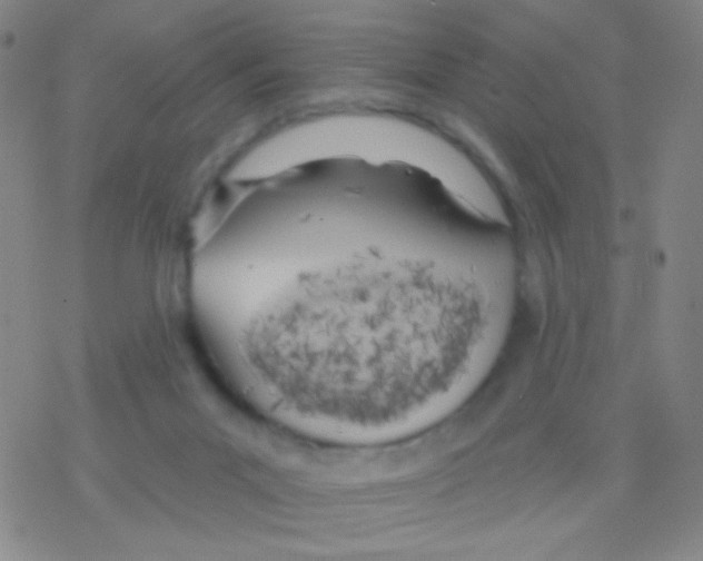 X0000076300023200610271925