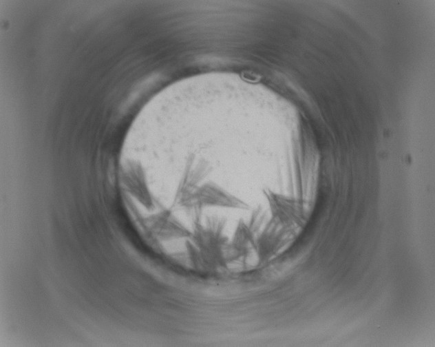 X0000076300024200610271925