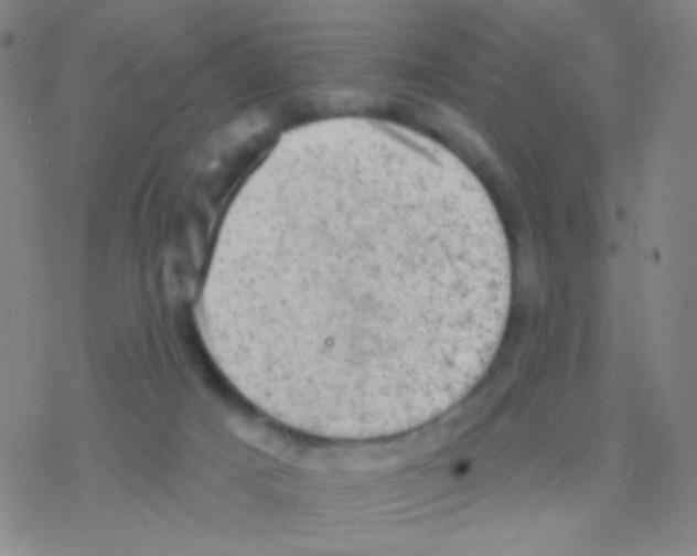 X0000076300025200610271925