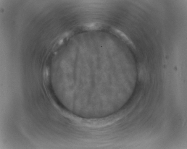 X0000076300026200610271925