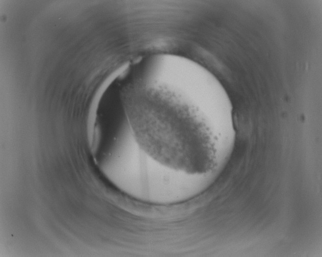 X0000076300027200610271925