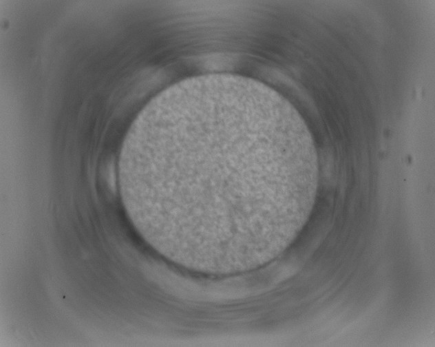 X0000076300028200610271925