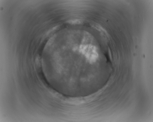 X0000076300029200610271925