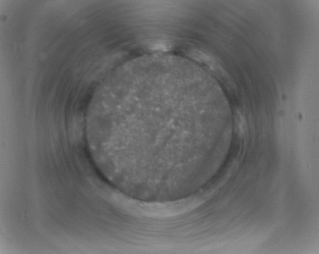 X0000076300030200610271925