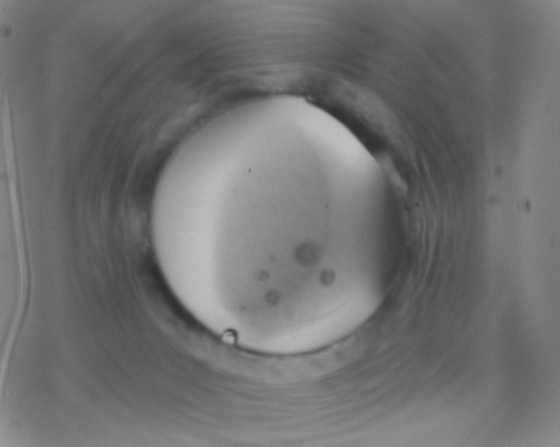 X0000076300031200610271925