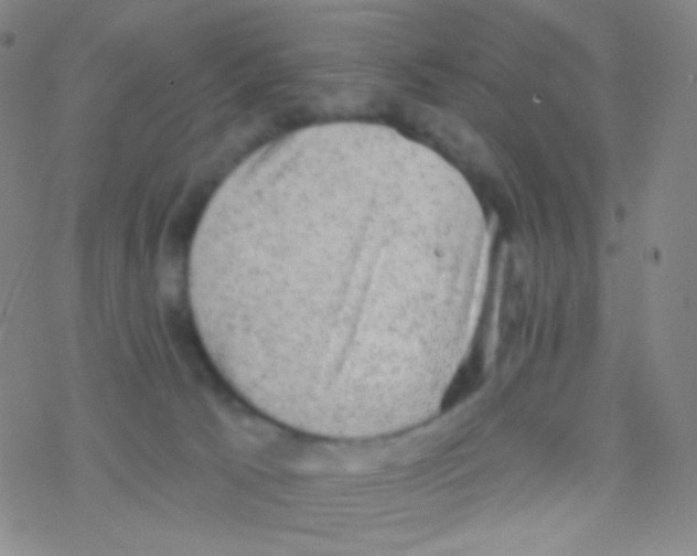 X0000076300033200610271925