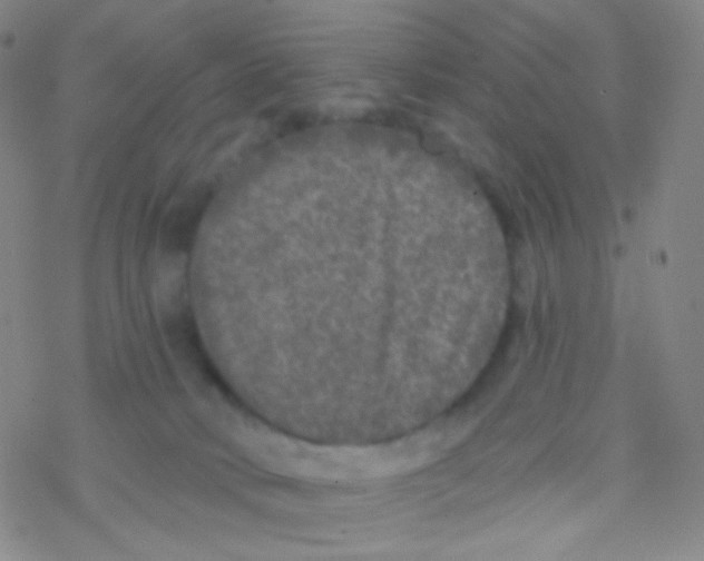 X0000076300034200610271925