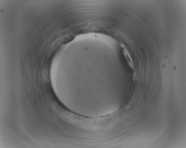 X0000076300035200610271925