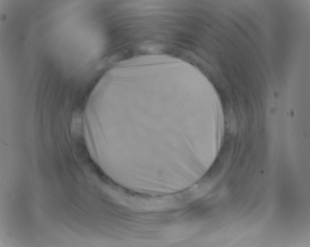 X0000076300036200610271925