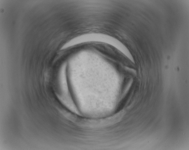 X0000076300037200610271925