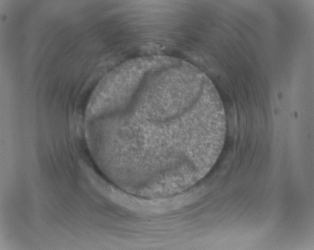 X0000076300038200610271925