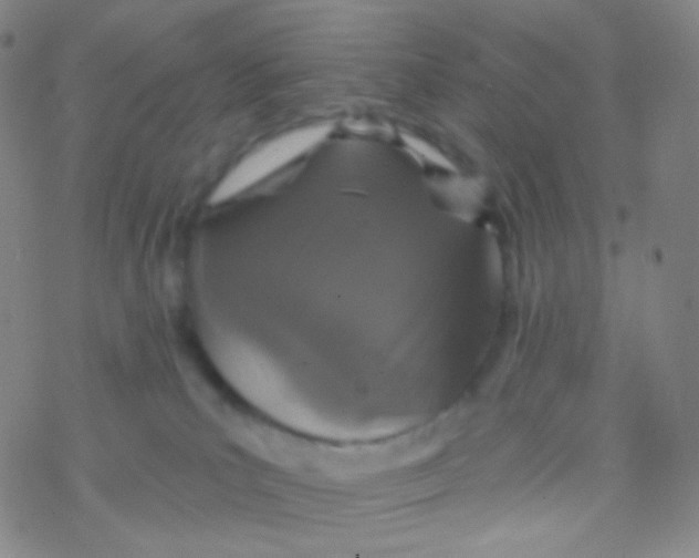 X0000076300039200610271925