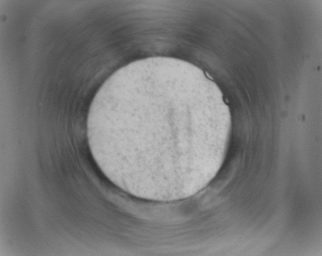 X0000076300040200610271925