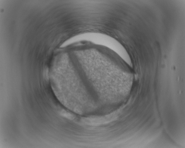 X0000076300041200610271925