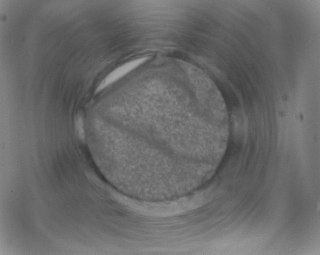 X0000076300042200610271925