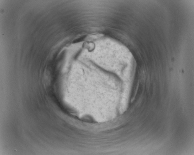 X0000076300043200610271925