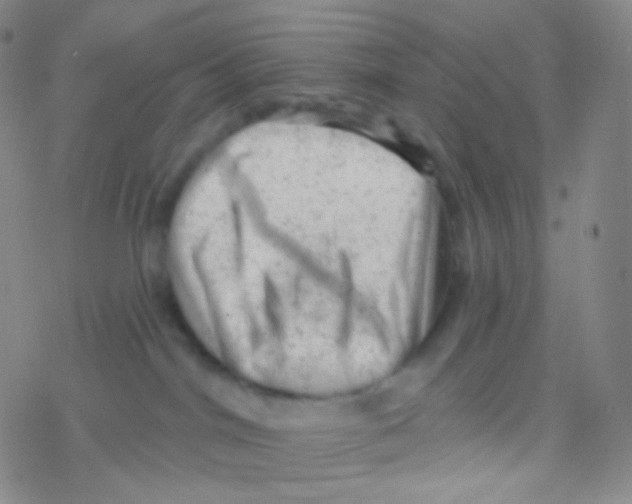 X0000076300044200610271925