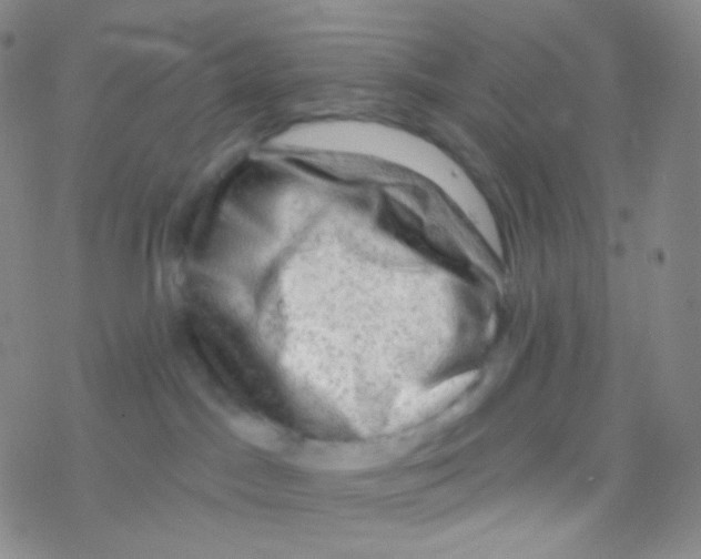 X0000076300045200610271925