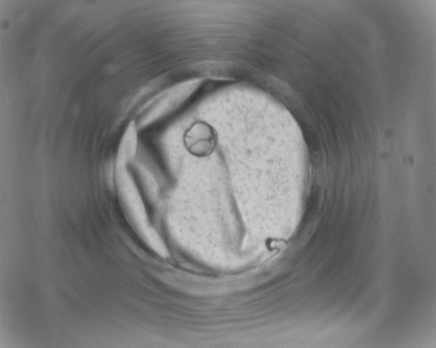 X0000076300047200610271925