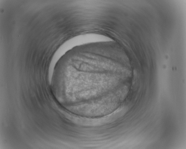 X0000076300048200610271925