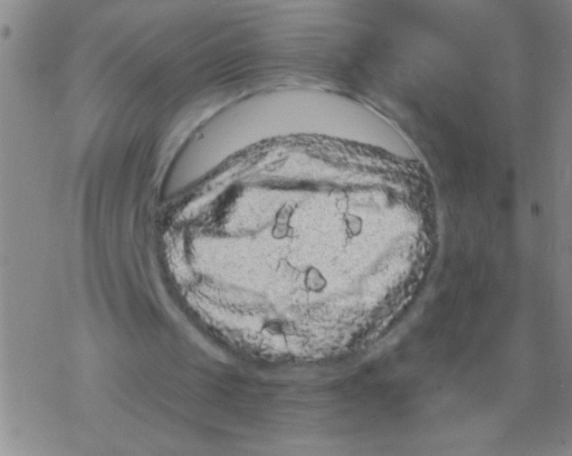 X0000076300049200610271924