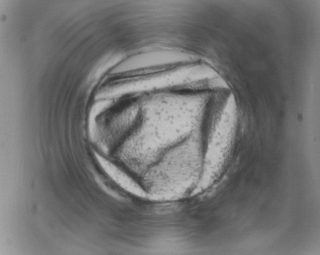 X0000076300050200610271924