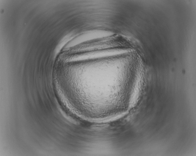 X0000076300051200610271924