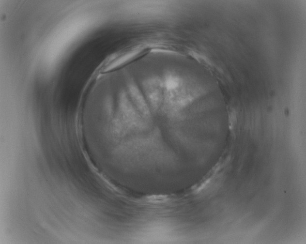 X0000076300052200610271924