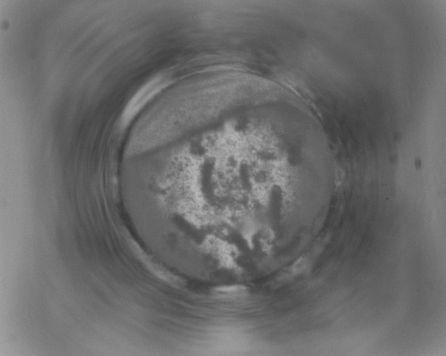 X0000076300053200610271924