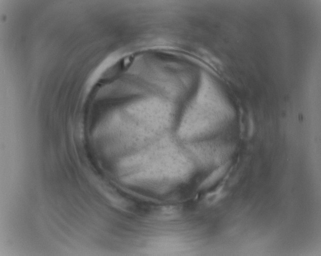 X0000076300056200610271924