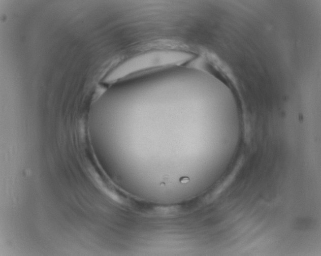 X0000076300057200610271924