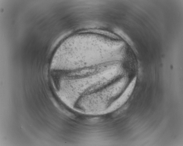 X0000076300058200610271924