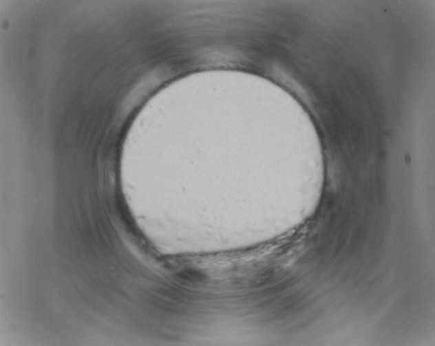 X0000076300059200610271924