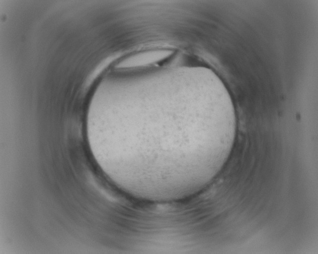 X0000076300060200610271924