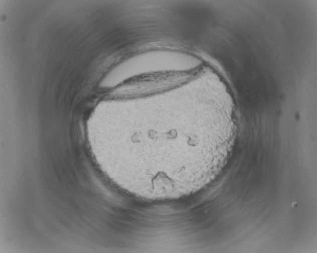 X0000076300061200610271924