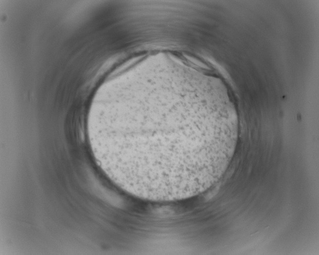 X0000076300062200610271924