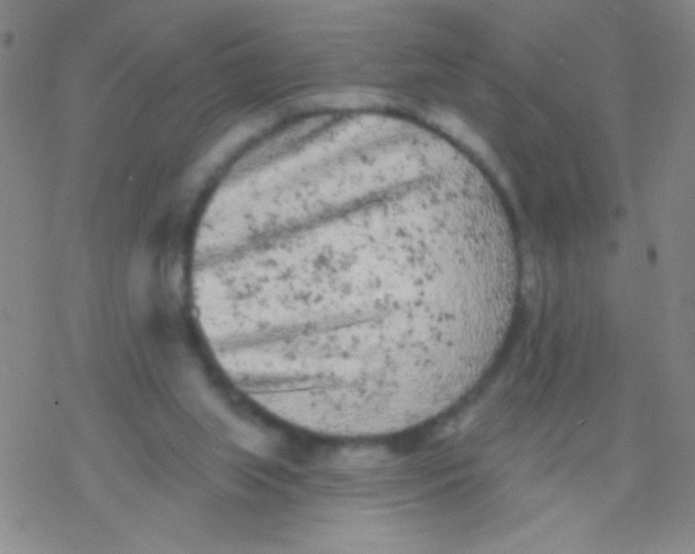 X0000076300063200610271924