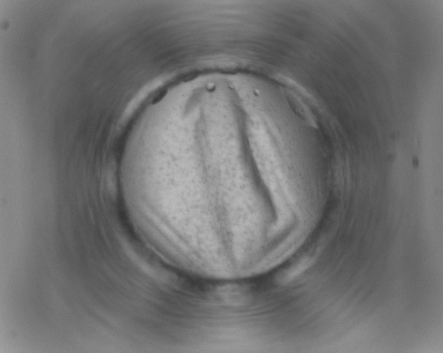 X0000076300064200610271924