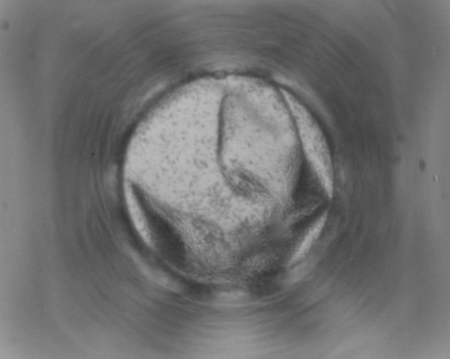 X0000076300066200610271924