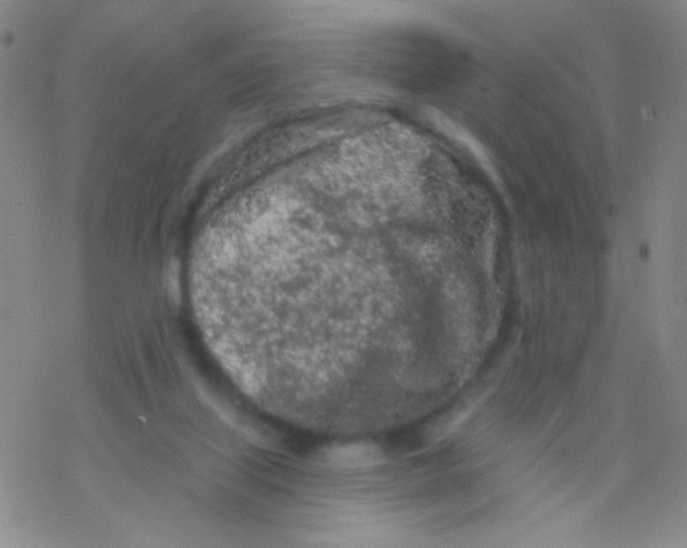 X0000076300067200610271924