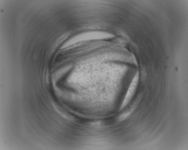 X0000076300068200610271925