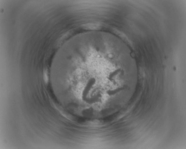 X0000076300069200610271925