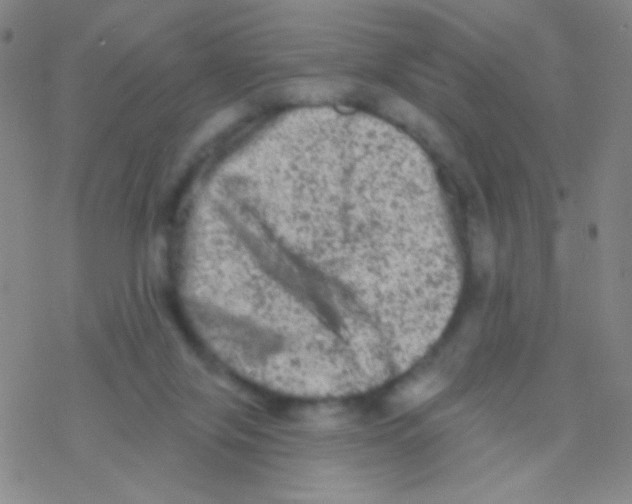 X0000076300071200610271925