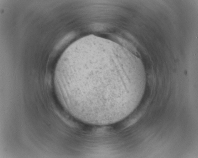 X0000076300072200610271925