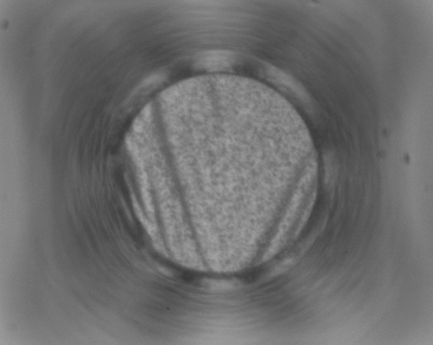 X0000076300073200610271925