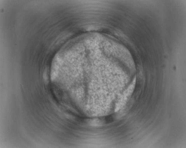 X0000076300074200610271925