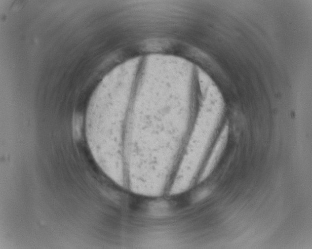 X0000076300075200610271925