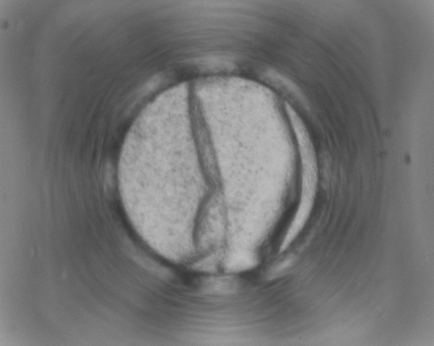 X0000076300077200610271925